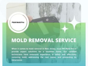 A graphically designed image that talks about the benefits of professional mold removal