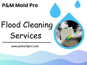 Why Professional Flood Cleaning Services Are Essential for Your Home